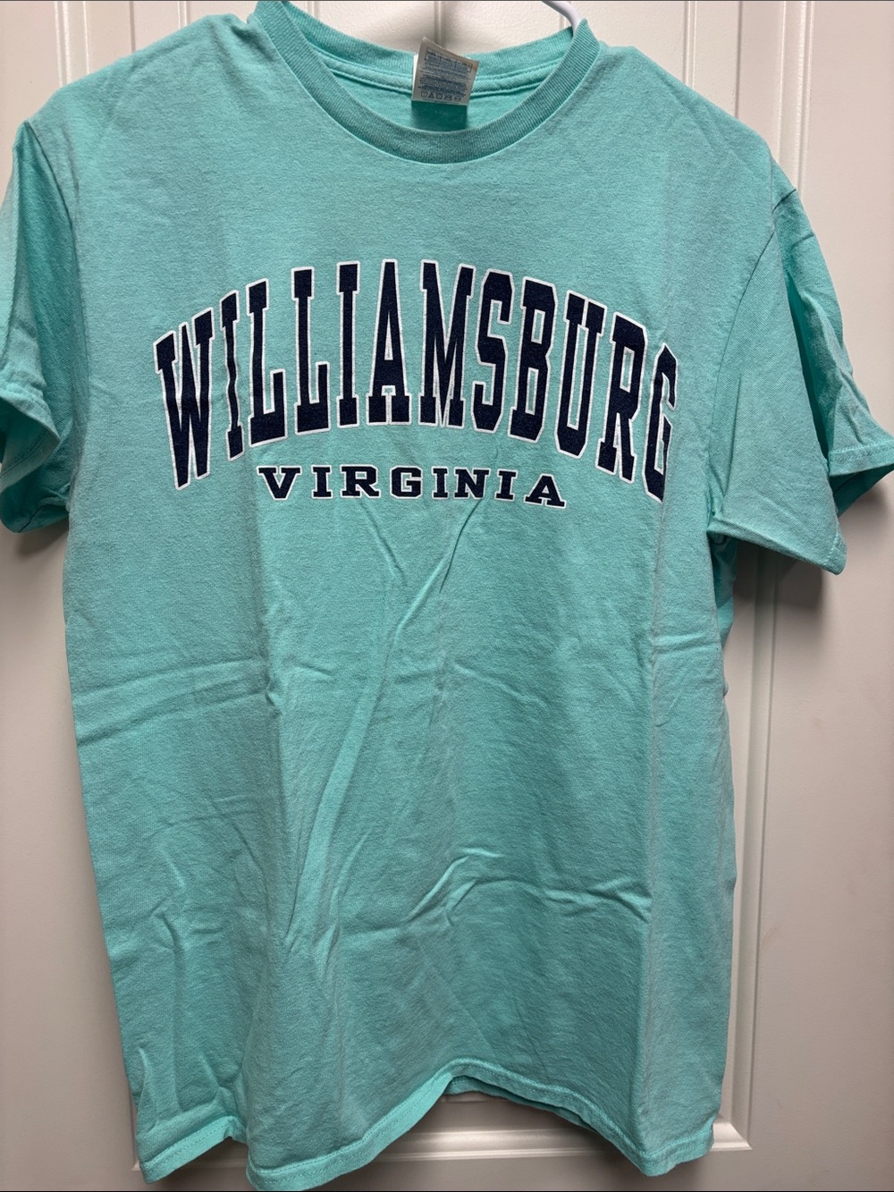 Delta Williamsburg Virginia Tee - Mint